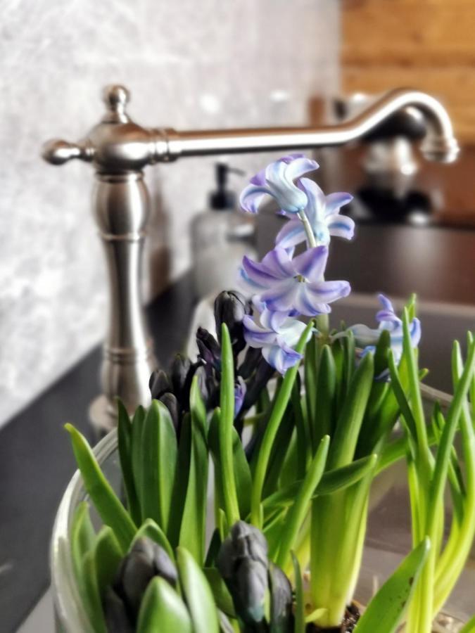 Siedlisko Apartament