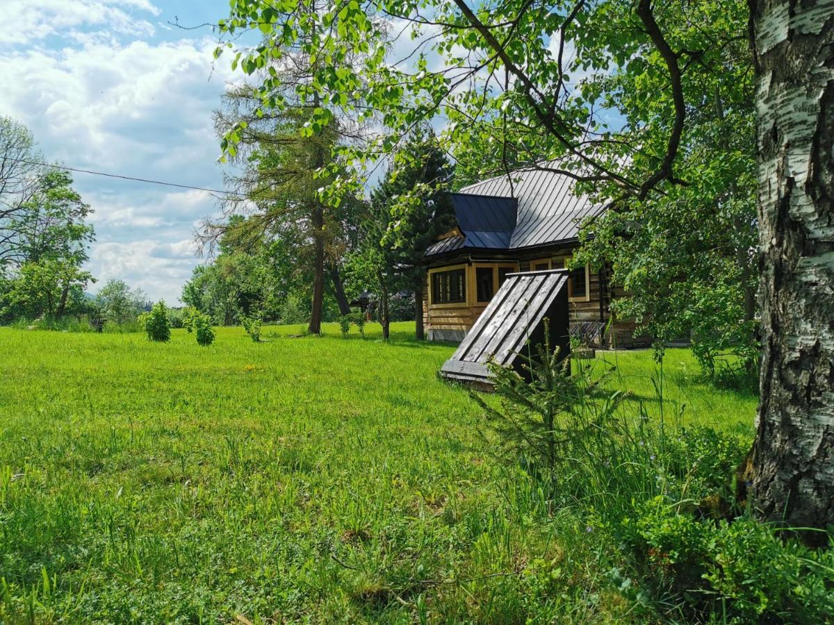 Siedlisko Apartament